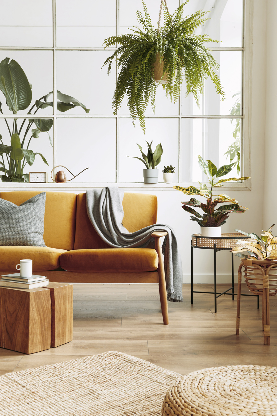 Interior design of scandinavian open space with velvet sofa, plants, furniture, in stylish home staging. Template.